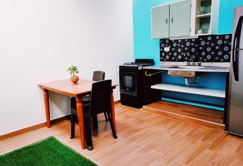 اتاق استاندارد با چشم‌انداز باغ, Havana Hostel Cali & Dance School