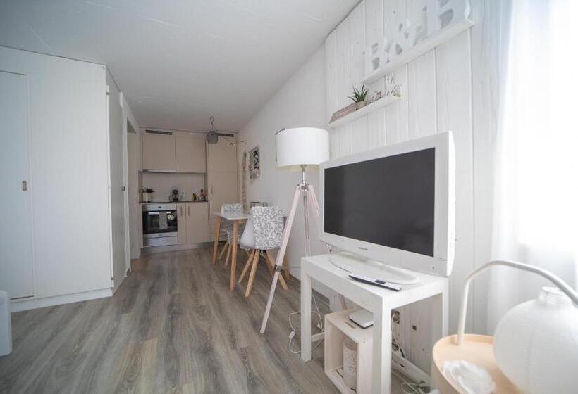 Студия Стандарт, Studio Living..