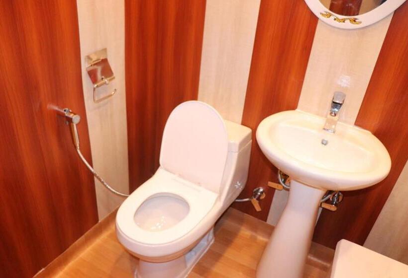 اتاق لوکس, House Boat New Pala Palace