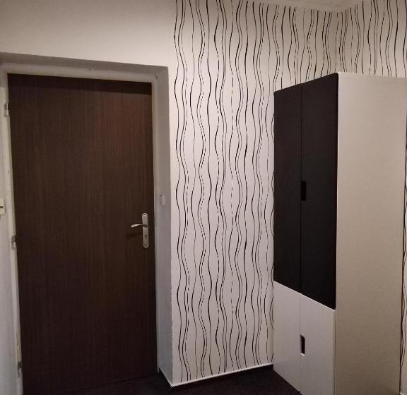 标准间, Boršičanka