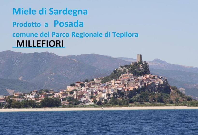 اتاق استاندارد, B&b Feronia