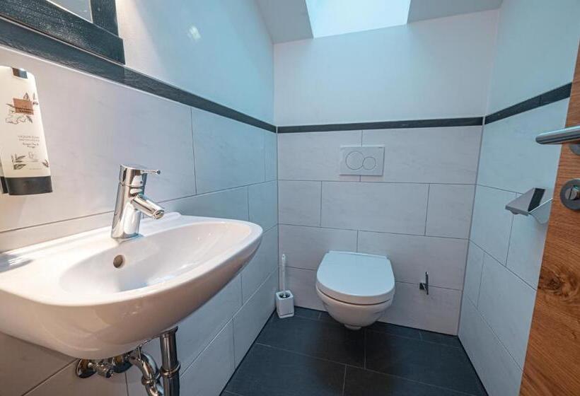آپارتمان 1 خوابه, Alpen Suites Brandnertal
