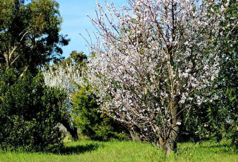 Апартаменты 1 Спальня Вид на Сад, Mater Bed & Food Riserva Naturale Di Torre Guaceto