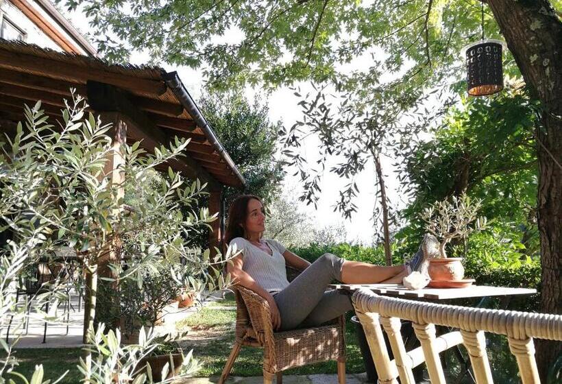 Номер Стандарт, Agriturismo Tananei
