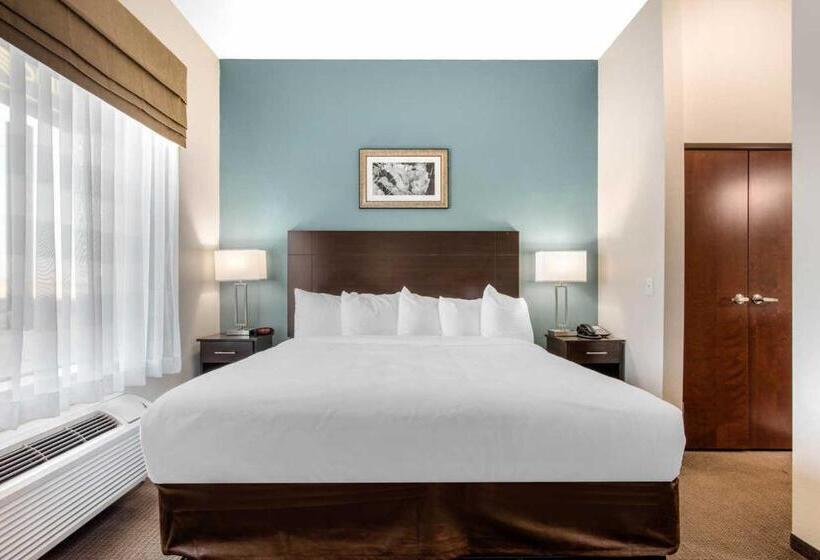 带大床的套房, Mainstay Suites Big Spring North I 20