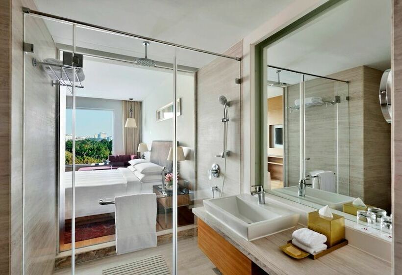 Номер Deluxe, Indore Marriott
