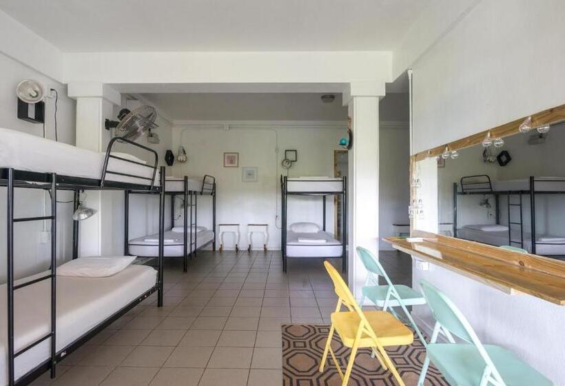Номер Стандарт, Selina Manuel Antonio   Hostel