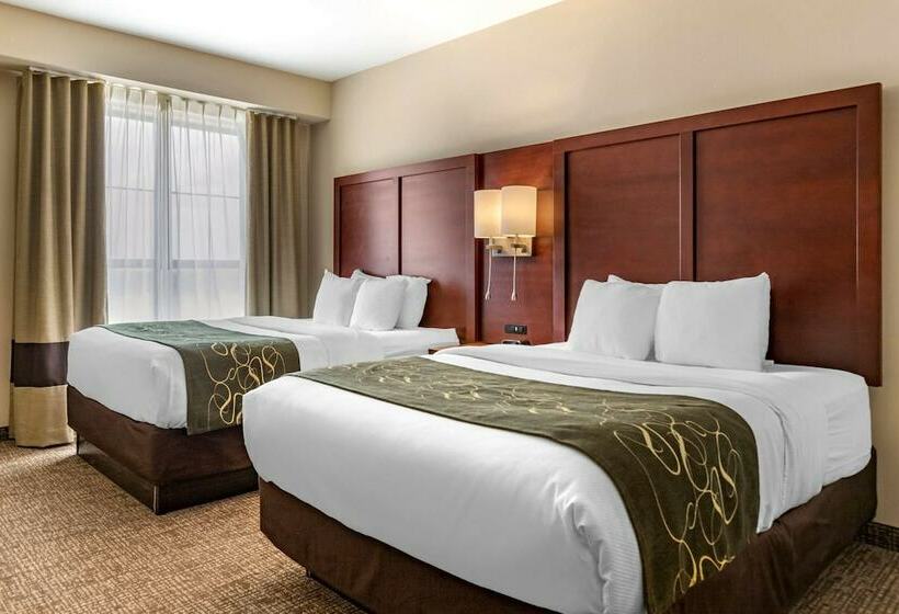 套房, Comfort Suites Kyle