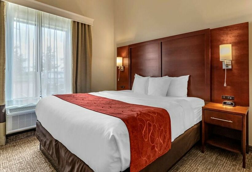 套房, Comfort Suites Kyle