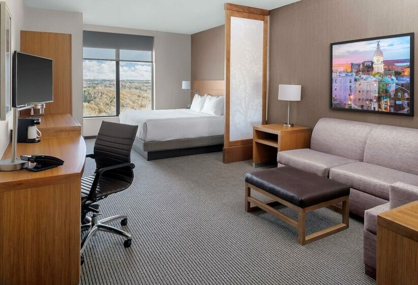 身障者適用スイートルーム, Hyatt Place Athens/downtown