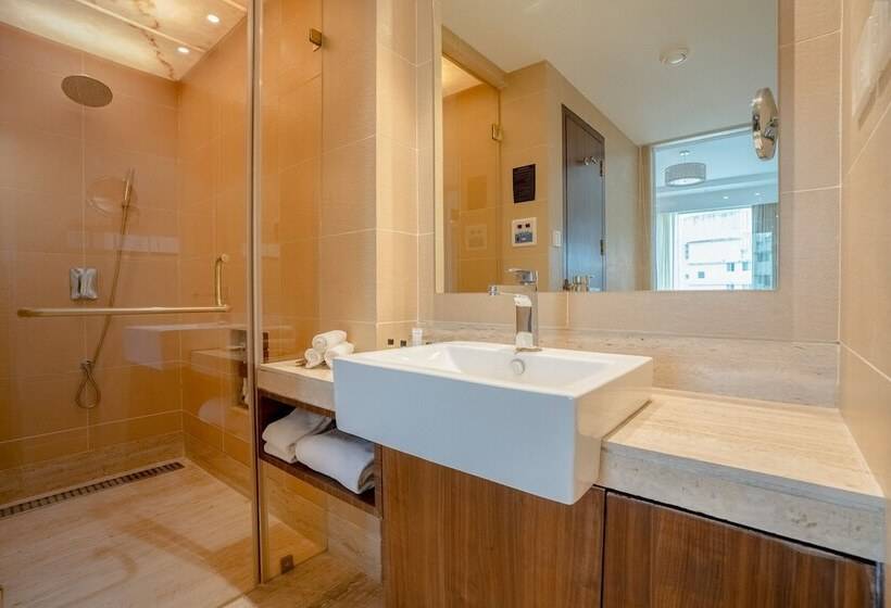 Люкс, Radisson Blu Pune Hinjawadi
