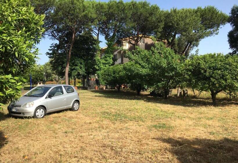 Номер Deluxe Вид на Бассейн, Villa Viuli