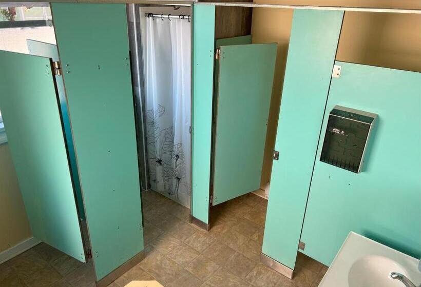共用房间的床, Char's Landing Hostel