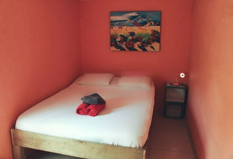 غرفة قياسية, Twin Fin Hostels