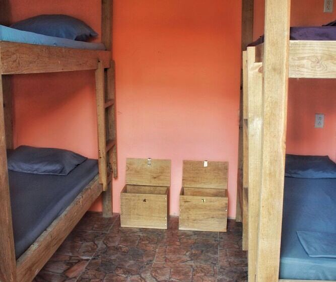 سرير فى غرفة مشتركه, Twin Fin Hostels