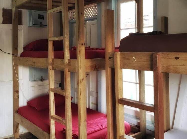 سرير فى غرفة مشتركه, Twin Fin Hostels