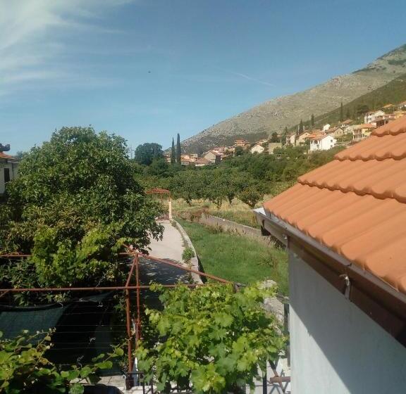 اتاق استاندارد یک نفره, Setenčić