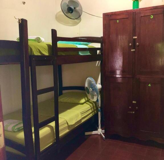 공동 객실, Casa Lula León Hostal