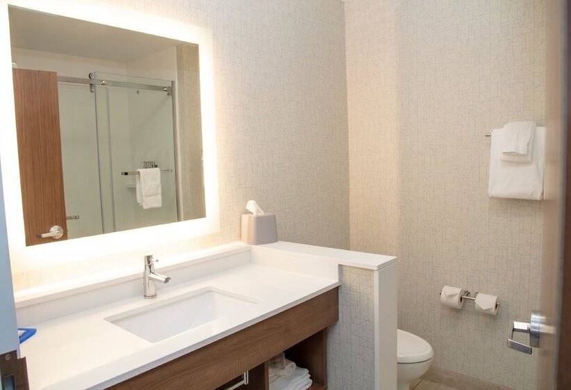 Люкс, Holiday Inn Express & Suites   Marion, An Ihg