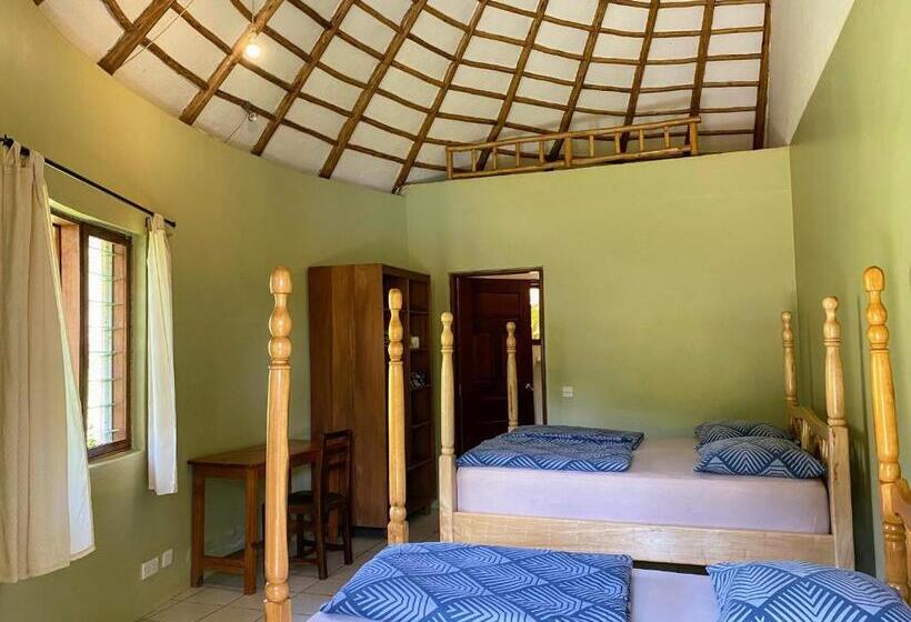 Deluxe Room, Banda Lodge