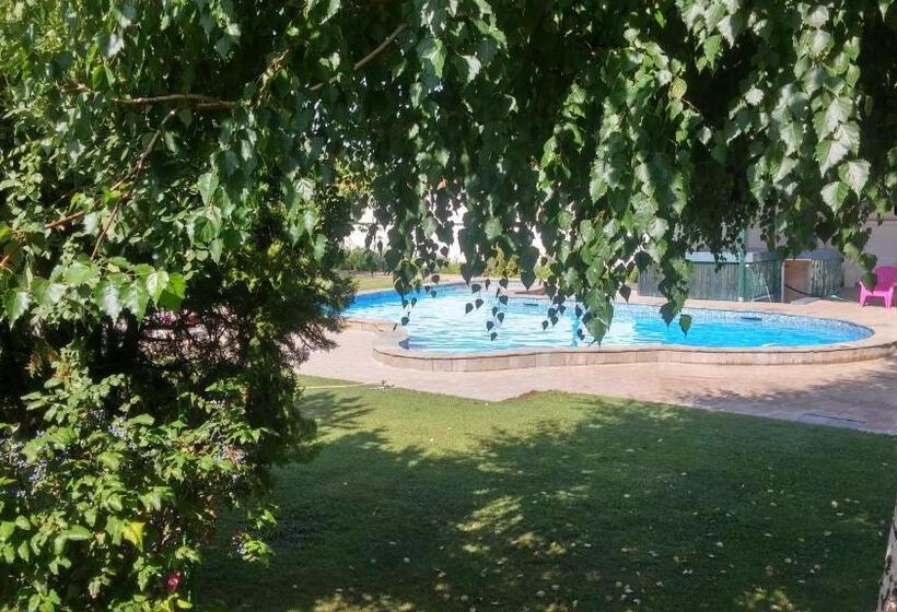 استودیو استاندارد با چشم‌انداز باغ, Galeria In The Garden