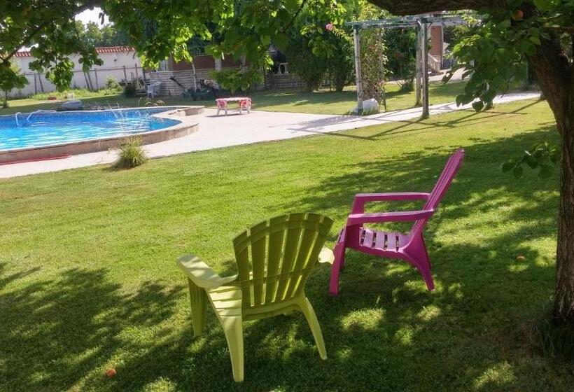 اتاق استاندارد, Galeria In The Garden