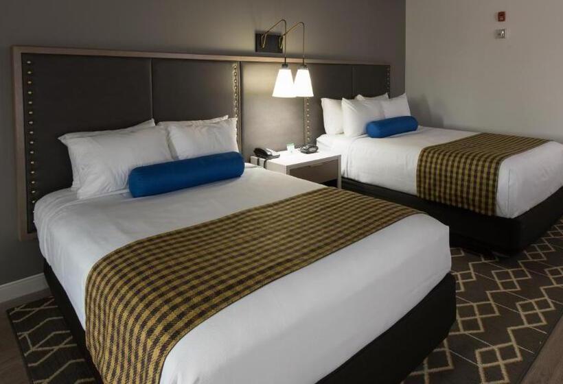 Номер Стандарт Адаптированный для Инвалидов, Indigo Hattiesburg, An Ihg