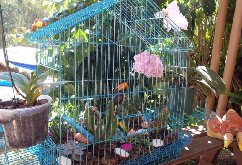 Номер Стандарт Вид на Горы, Pousada Villa Dos Quilombolas