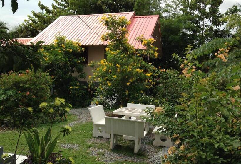بانگلوی سوپریور, Areeya Resort