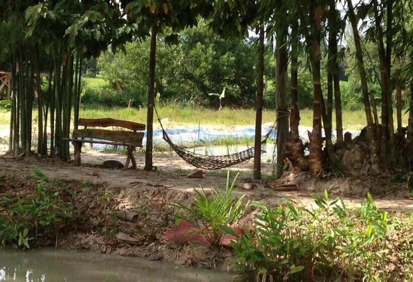 بانگلوی استاندارد, Areeya Resort