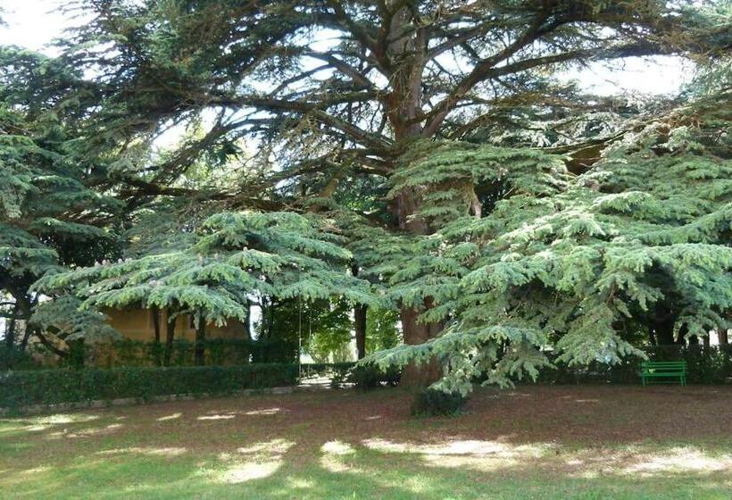 庭の見える１ベッドルームアパートメント, Borgo Villa Certano   Case Vacanza In Toscana