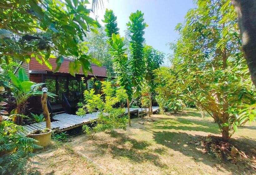 디럭스 룸, Kohmook Nurse House