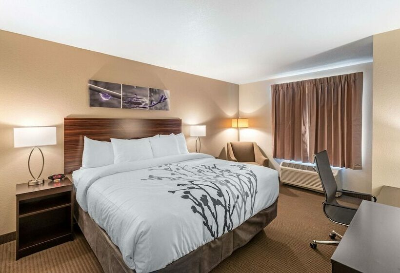 スイート, Sleep Inn & Suites Denver International Airport