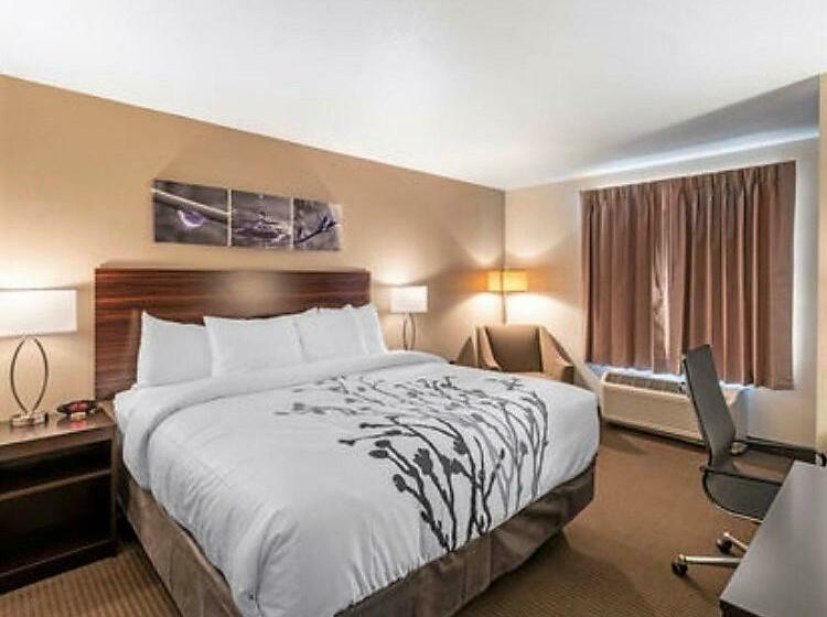 キングサイズベッドのスイートルーム, Sleep Inn & Suites Denver International Airport