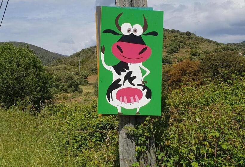Бунгало Стандарт, Ferme De Chiuni