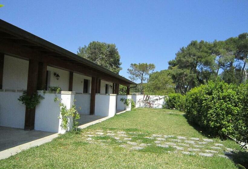 Номер Стандарт, Masseria Fabrizio