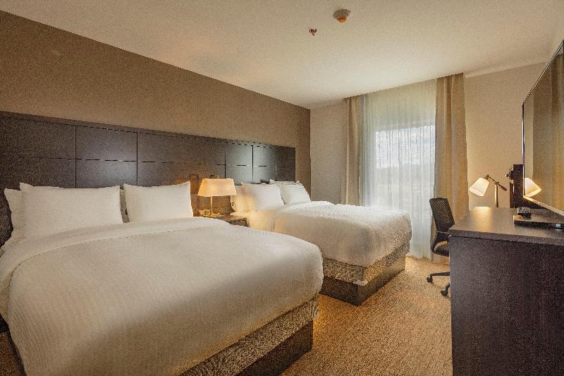 スイート, Staybridge Suites   Saltillo, An Ihg