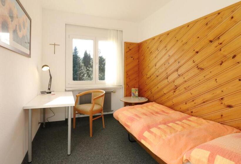 اتاق استاندارد یک تخته با سرویس بهداشتی مشترک, Allegro Alpin Lodge