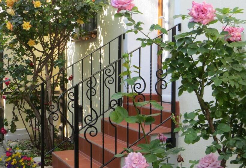 Apartamento 1 Dormitório, Gästehaus Elfriede