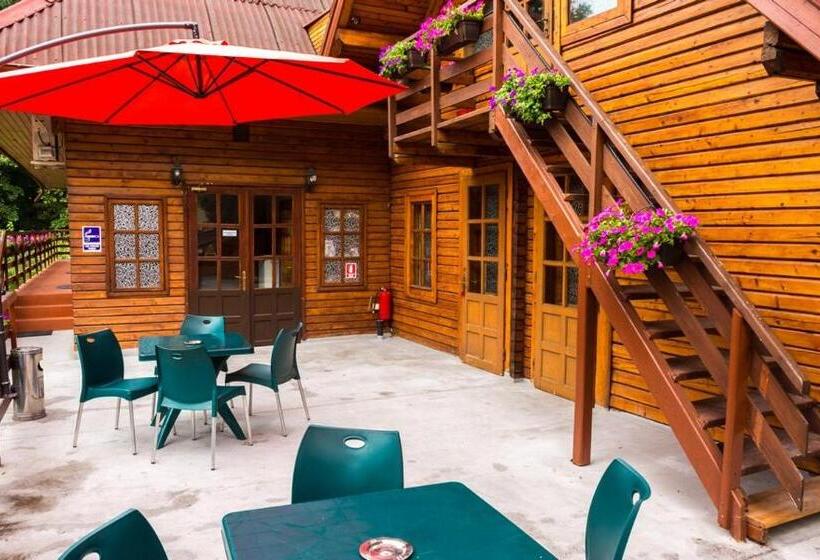 اتاق عادی, Pensiunea Casa Verde Bucuresti
