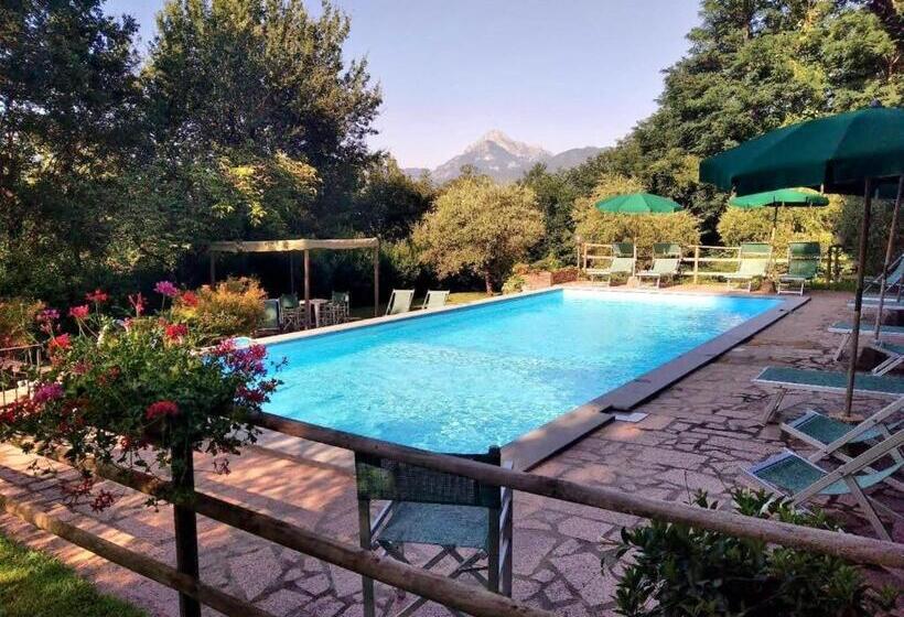 低层单卧公寓, La Vignola