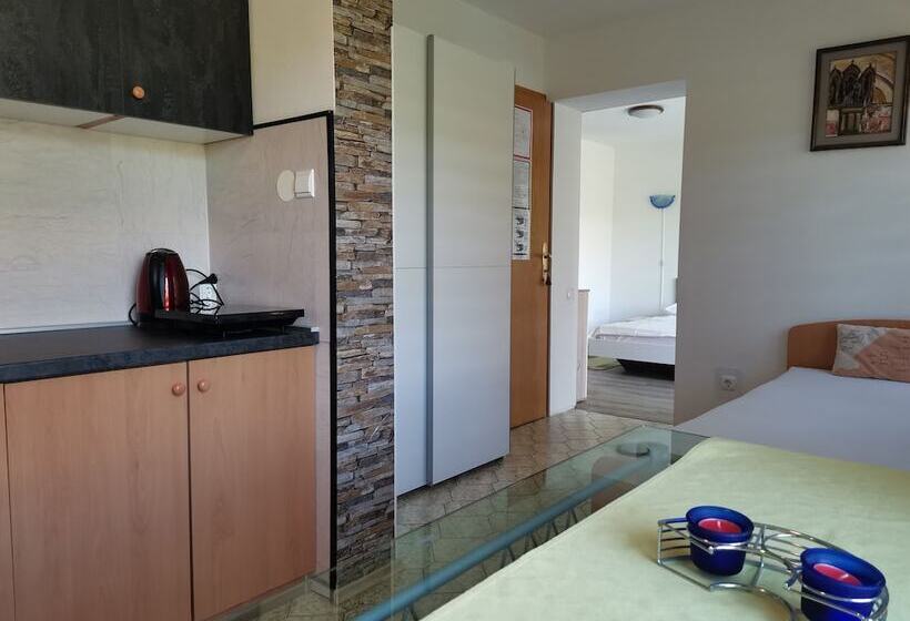 استودیوی استاندارد, Apartments Silva