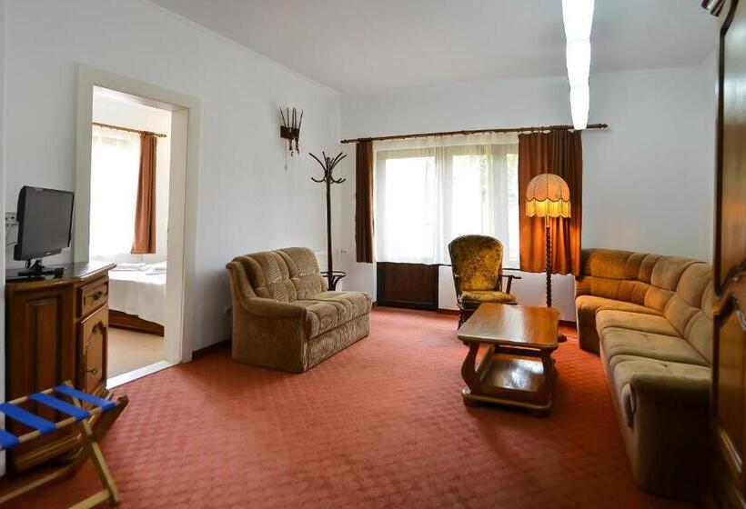 Superior suite with terrace, Casa Transilvania