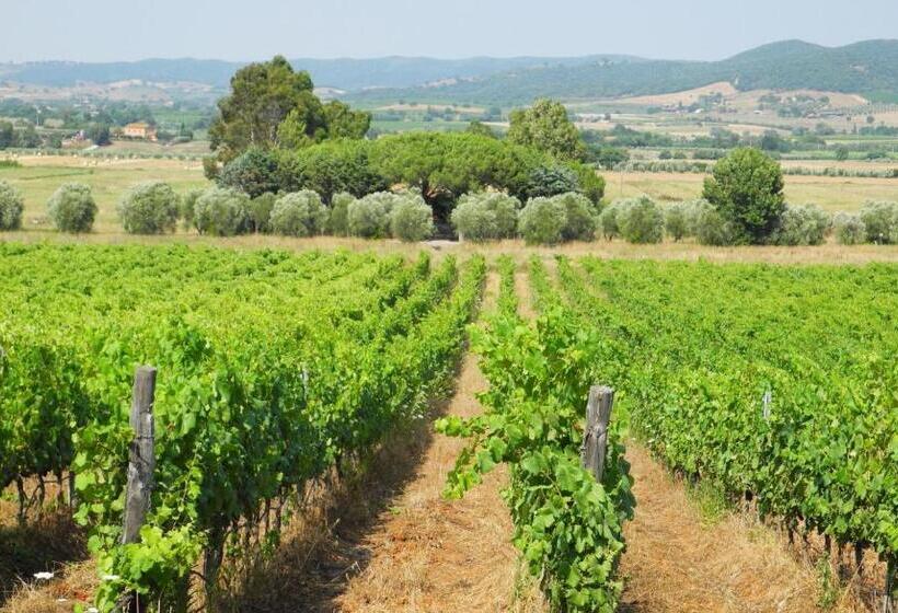 Номер Стандарт, Podere Oslavia Az.agr.bio Giannini