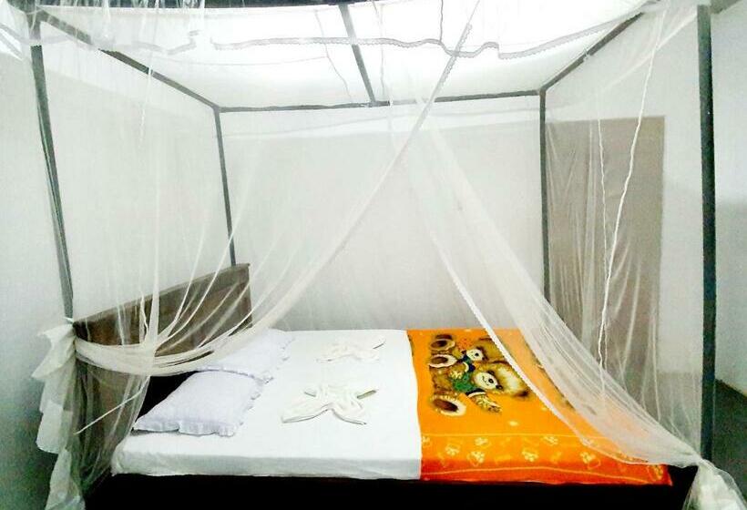 Quarto Estandar, Surfing Waves Madiha