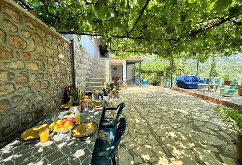 Семейный Номер Вид на Море, Boungainvillea