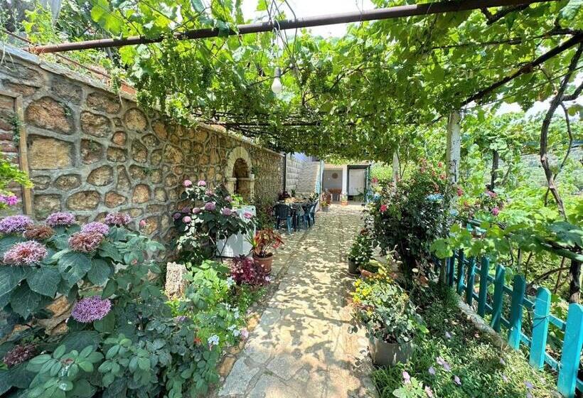 Семейный Номер Вид на Море, Boungainvillea