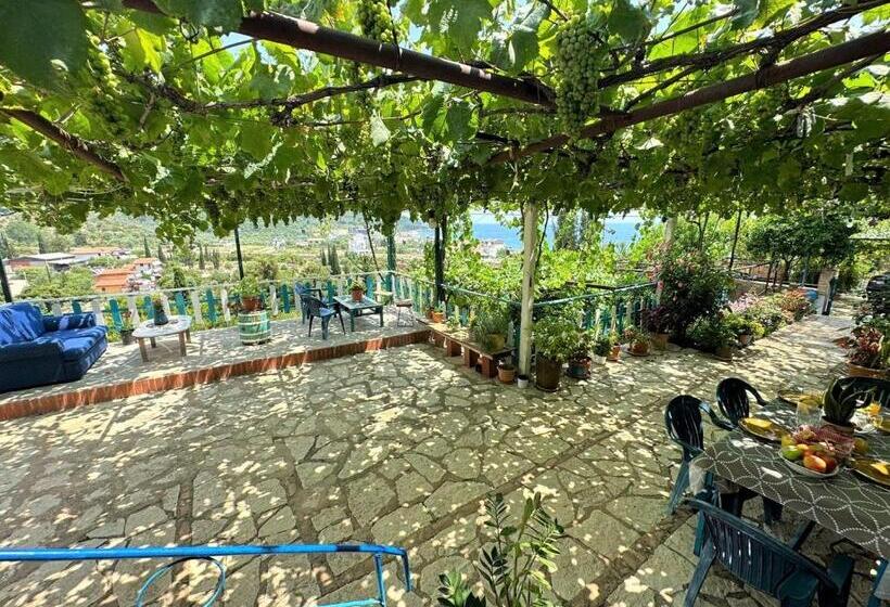 Triple Room Sea View, Boungainvillea
