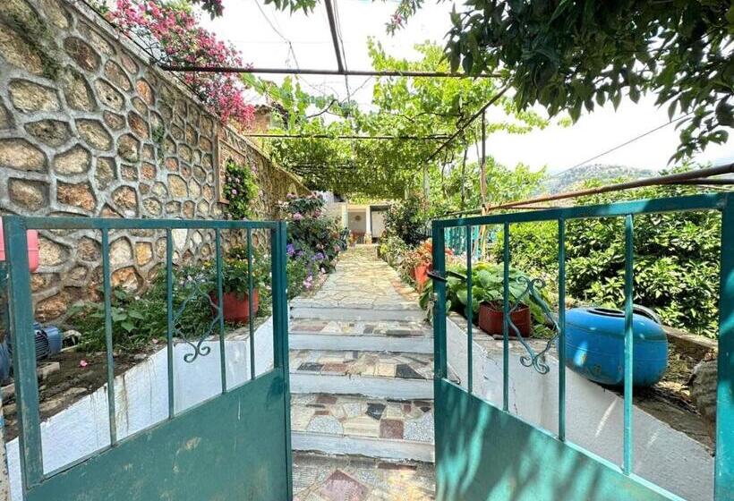 Family Suite, Boungainvillea