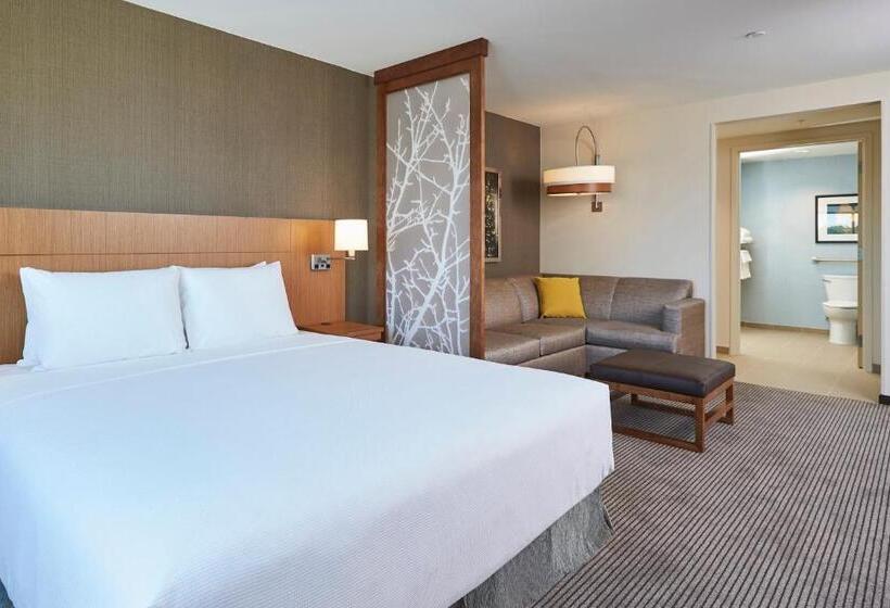 Suite Adaptada per a persones amb mobilitat reduïda, Hyatt Place Toronto/mississauga Centre